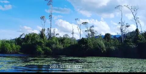  Danau Lindu yang Indah